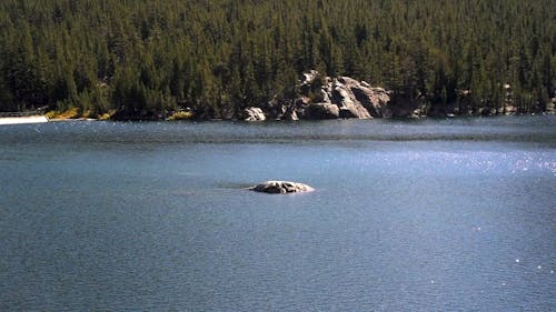 A Calm Lake With Raindrops