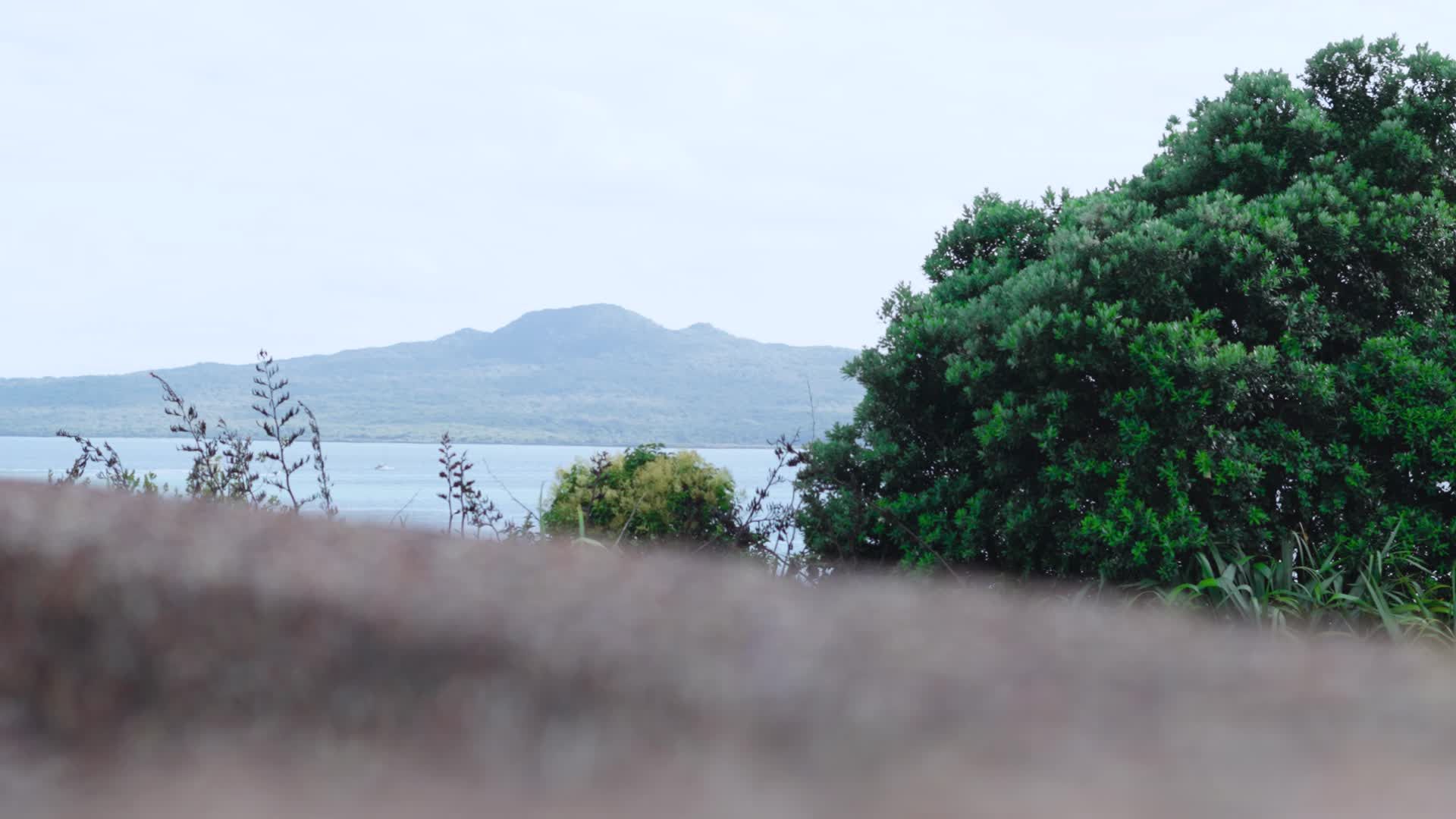 Serene Island Landscape with Lush Greenery Free Stock Video Footage ...