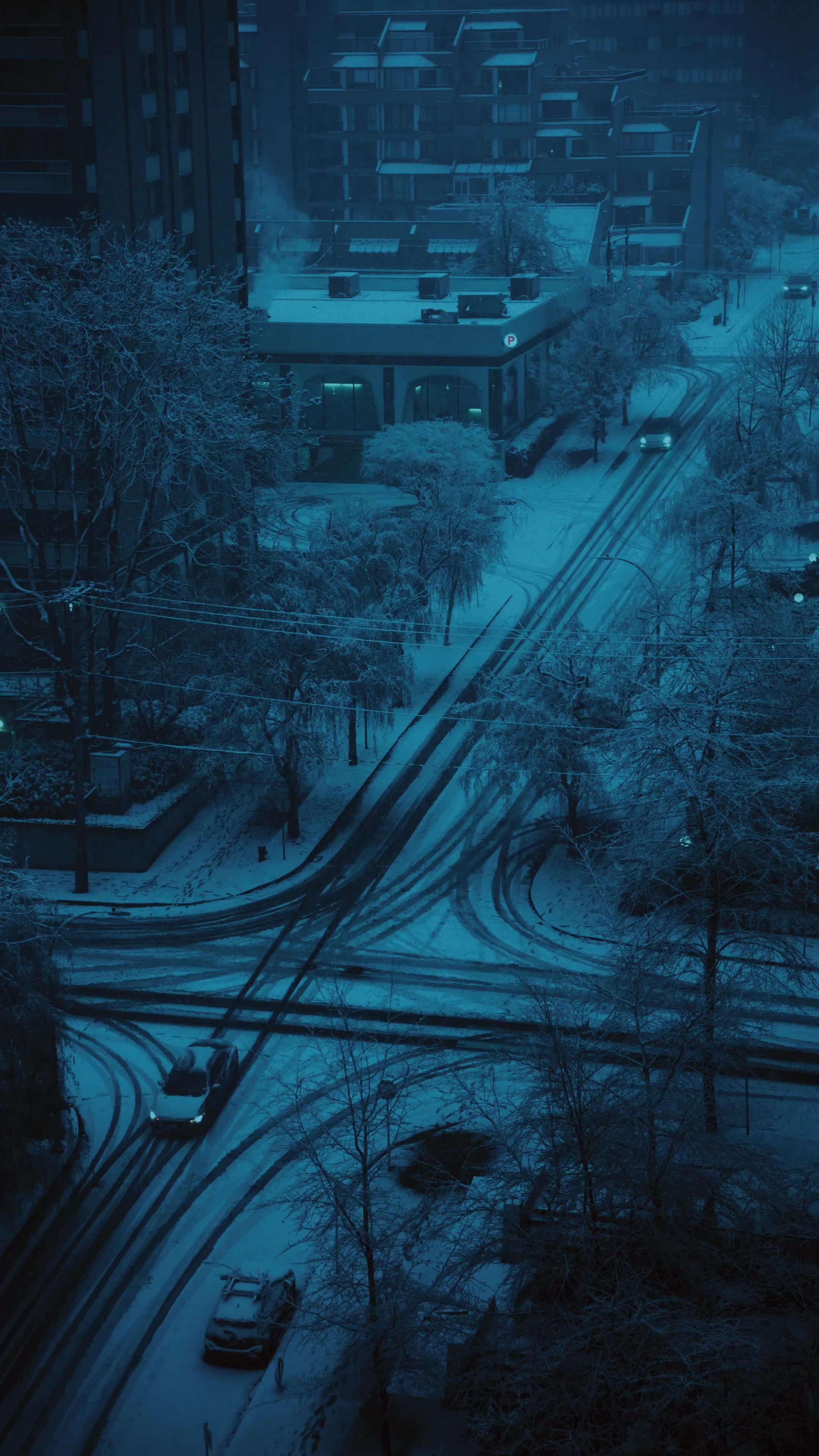 Winter City Street at Night with Snow Falling Free Stock Video Footage ...