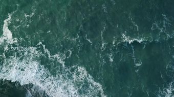 海免费下载视频素材