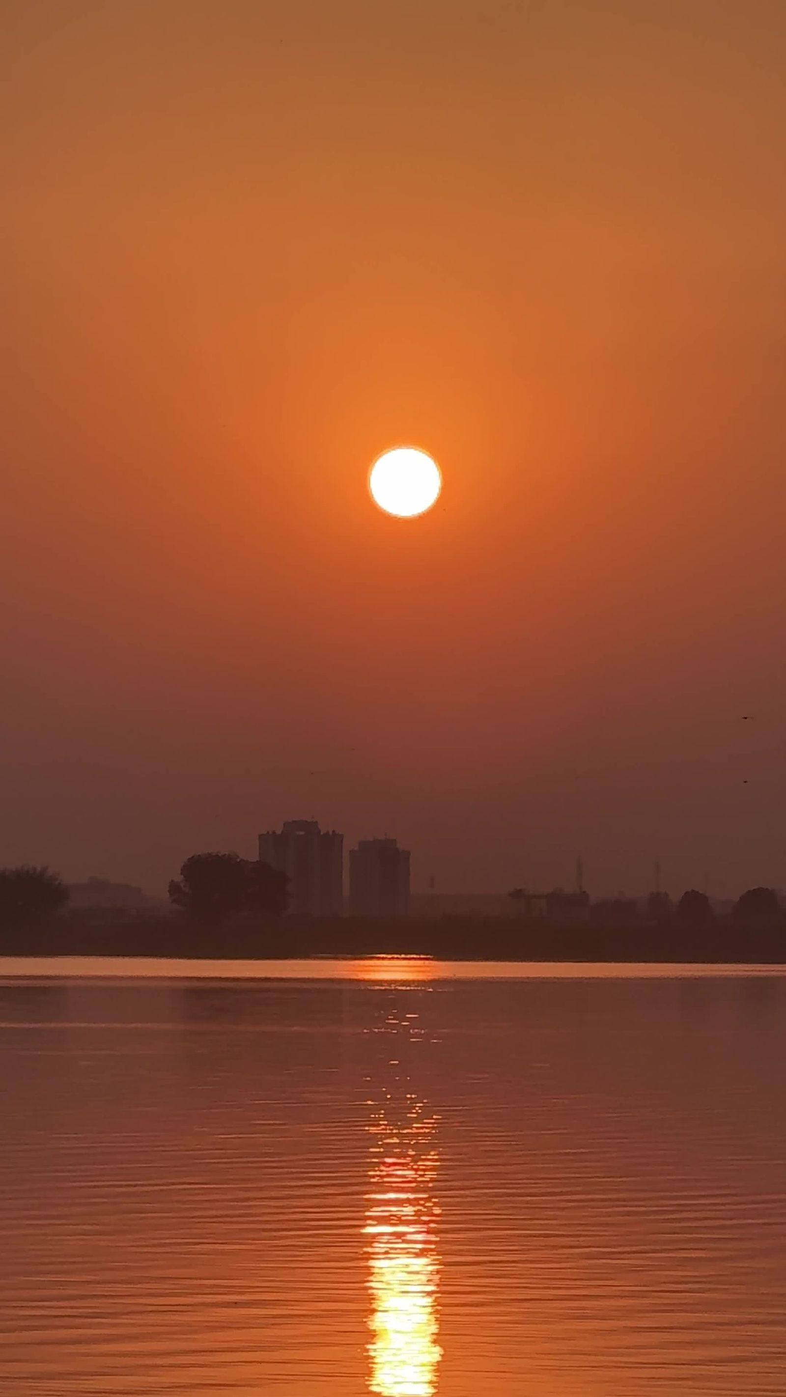 Serene Sunset Over Lush Forest and Lake Free Stock Video Footage ...
