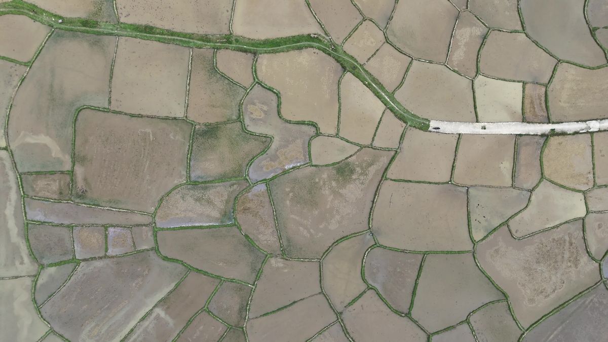 An aerial view of a field with a road Free Stock Video Footage, Royalty ...