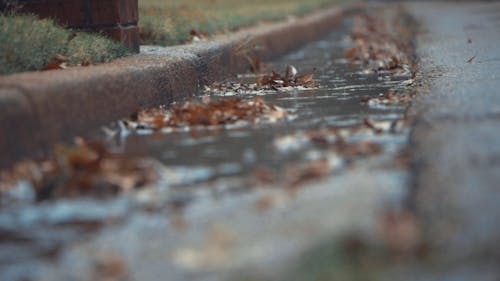 Wasser Fließt Am Straßenrand Mit Gefallenen Ahornblättern