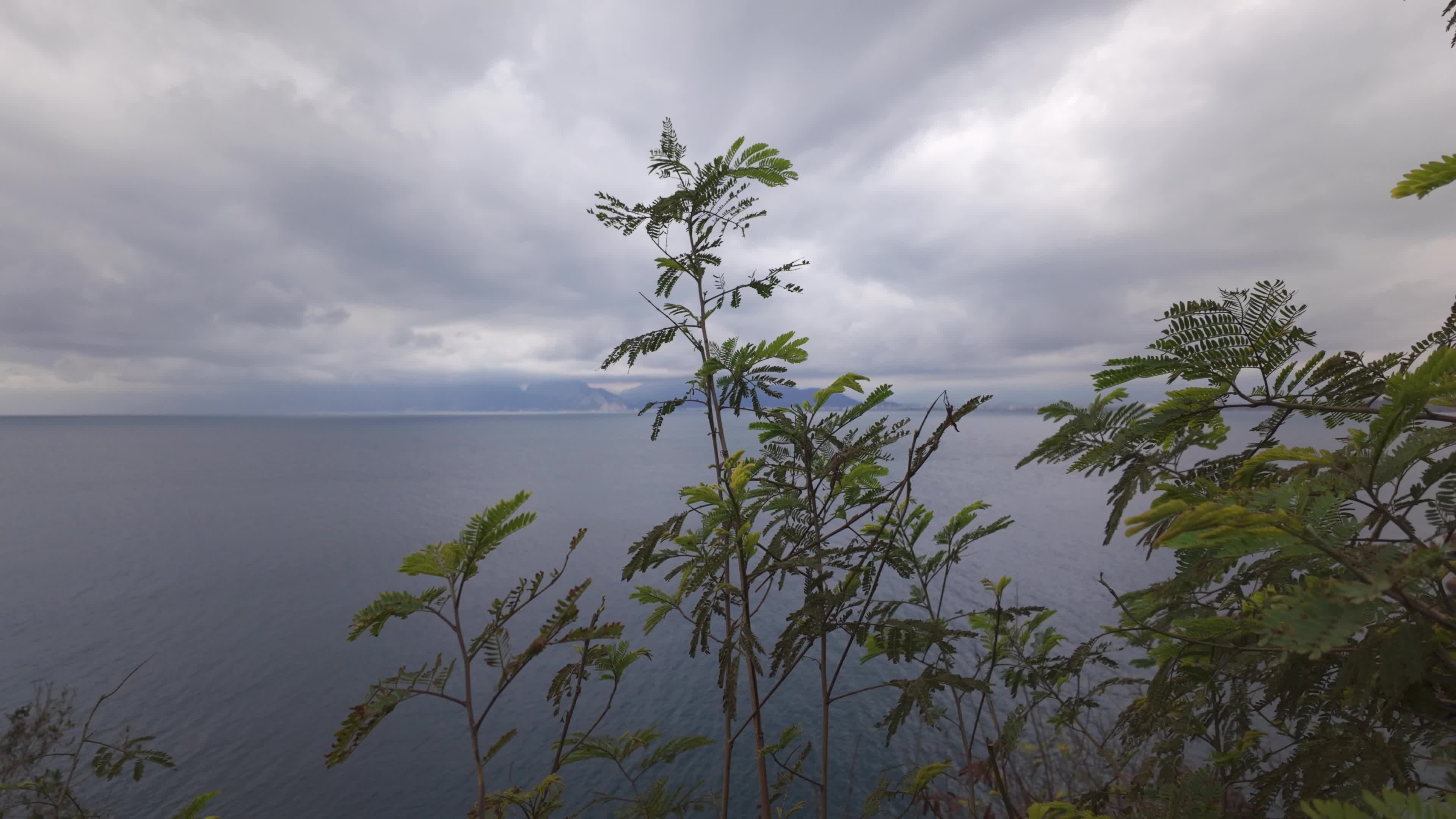 Scenic Ocean View with Lush Greenery Free Stock Video Footage, Royalty ...
