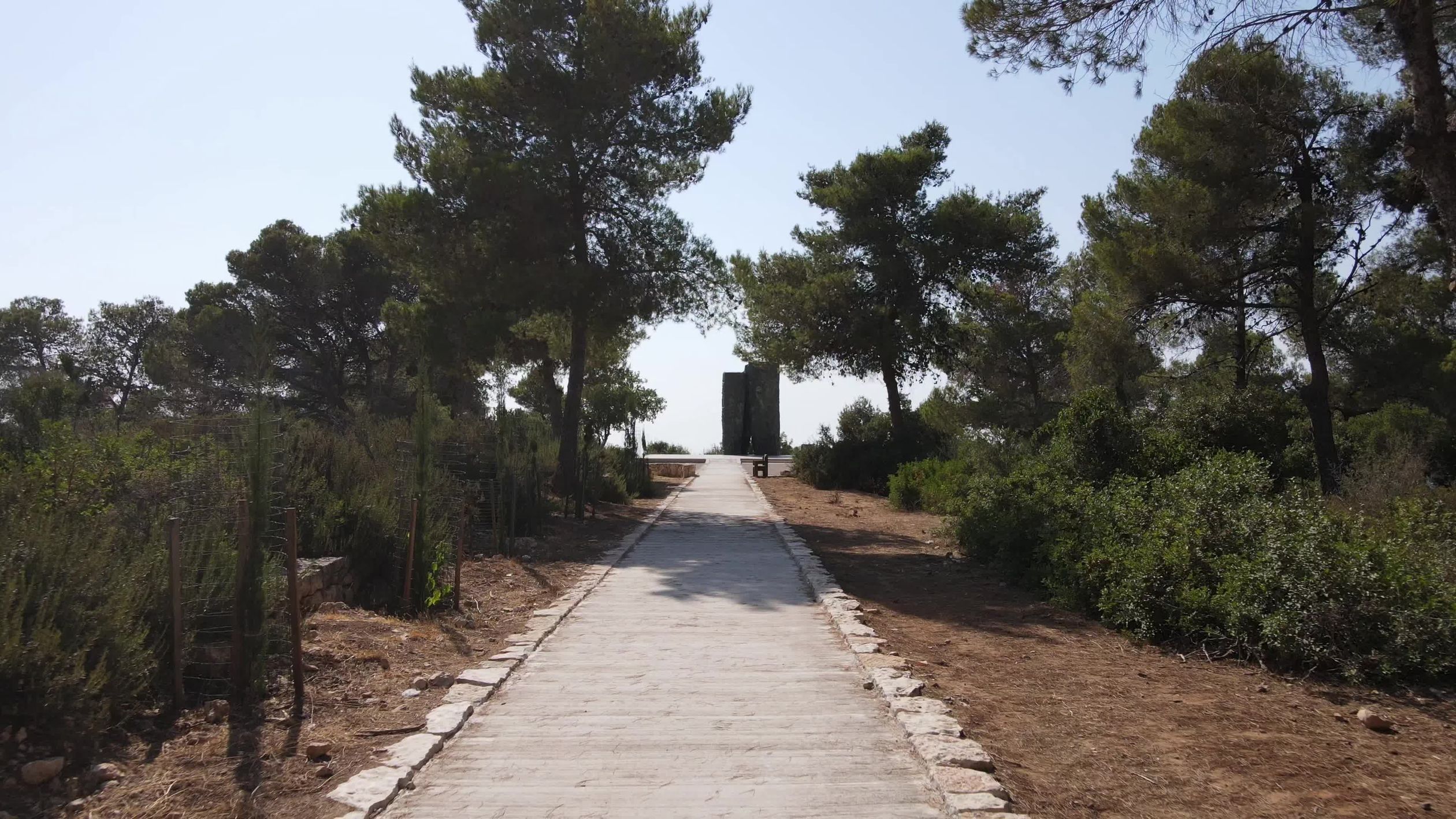Tranquil Forest Path Leading to Monument Free Stock Video Footage ...
