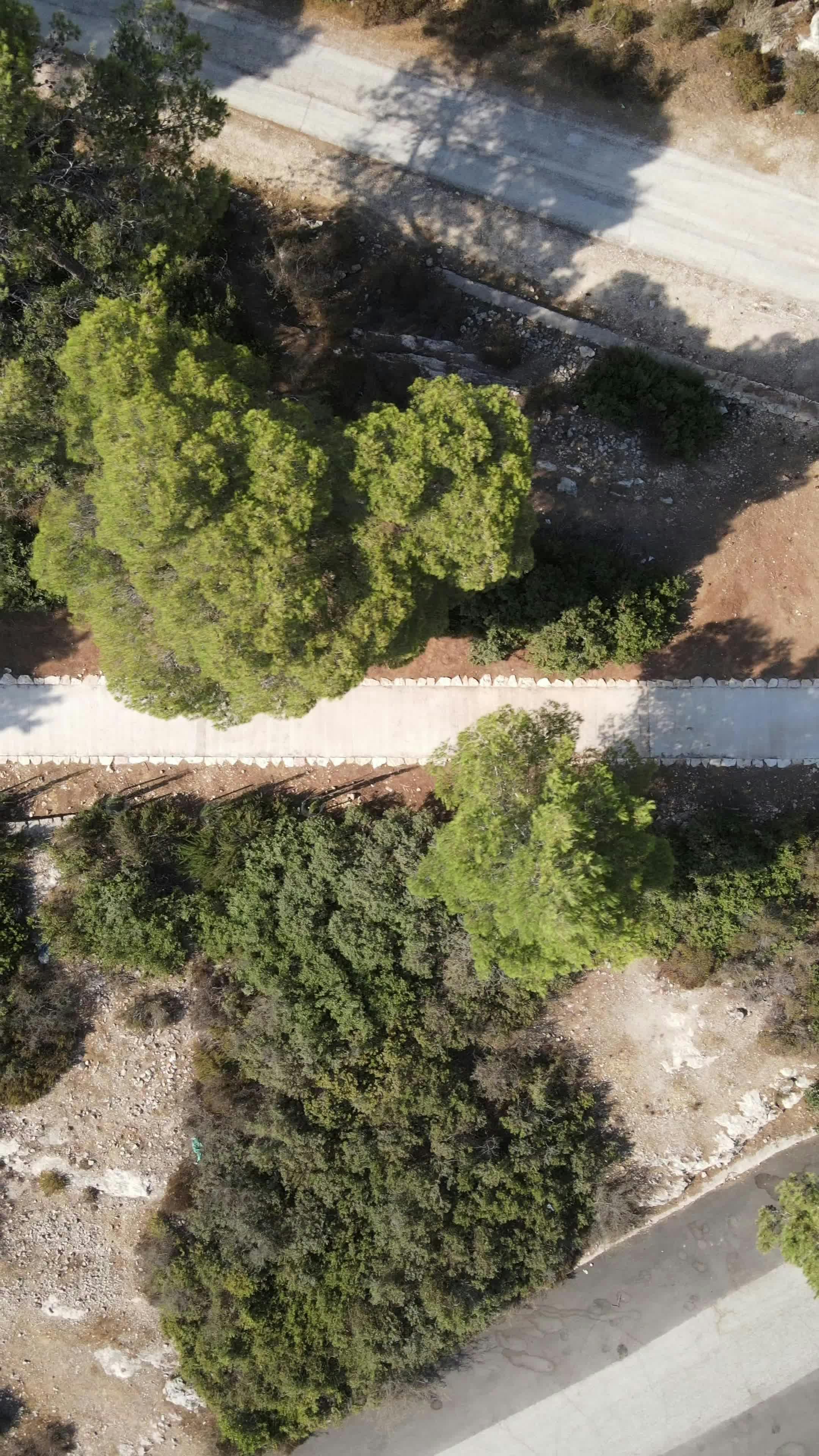 Video by Samir Smier