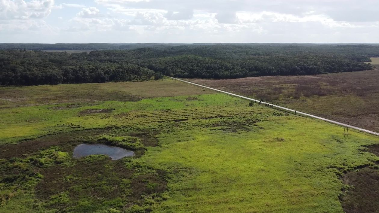 Landscape View Video Scenic Aerial View of Lush Open Landscape Free Stock Video Footage ...