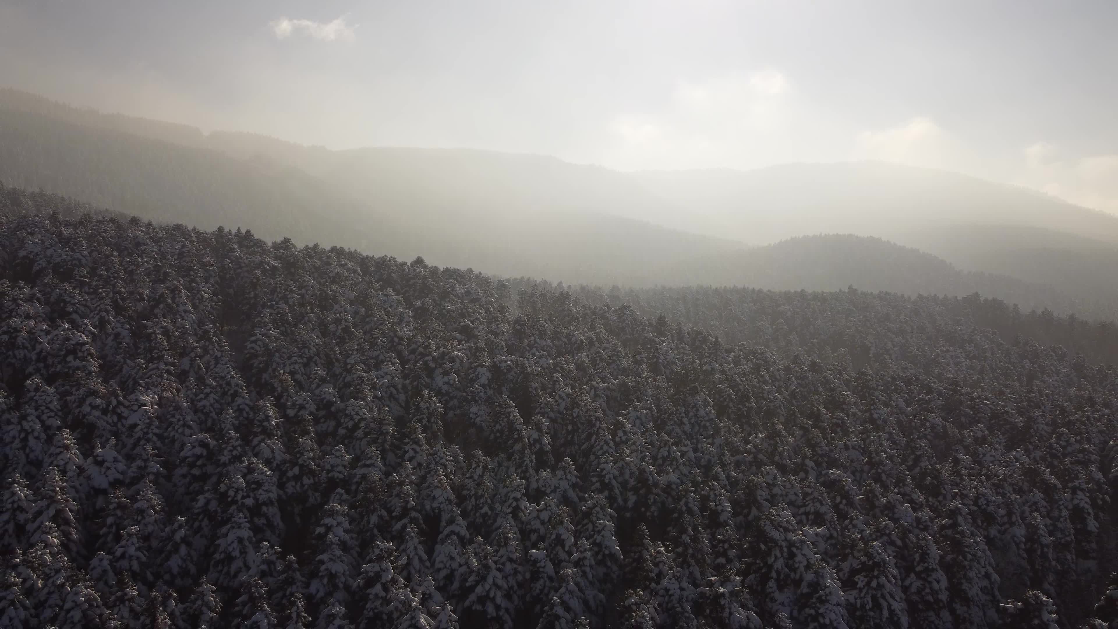 Majestic Aerial View of Snow-Covered Forest Free Stock Video Footage ...