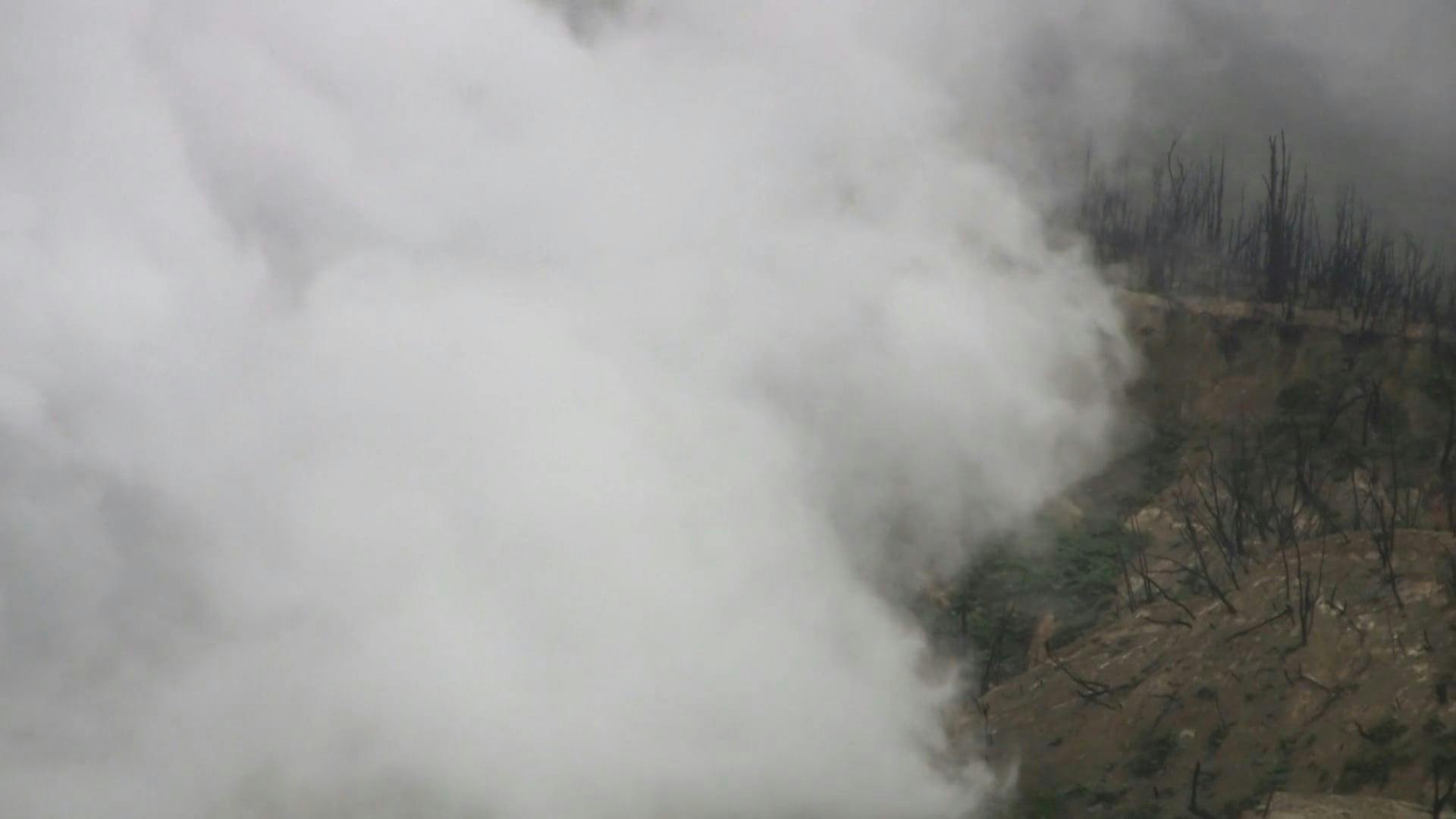 1000+ Engaging Forest Fire Videos · Pexels · Free Stock Videos