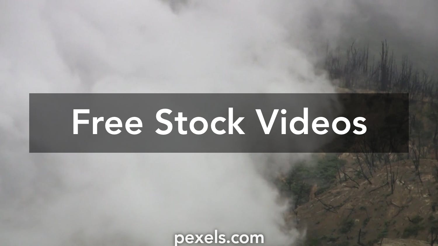 1000+ Engaging Forest Fire Videos · Pexels · Free Stock Videos
