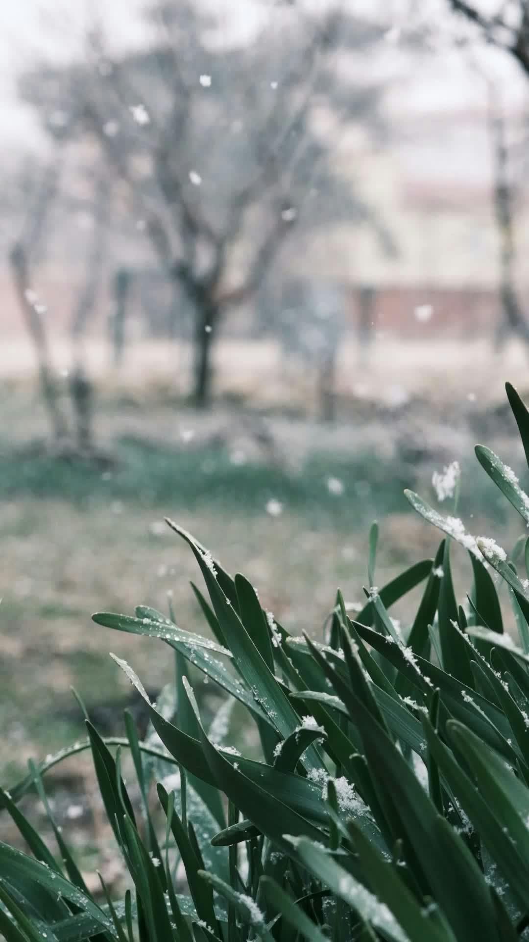 Video by Rahime Gül