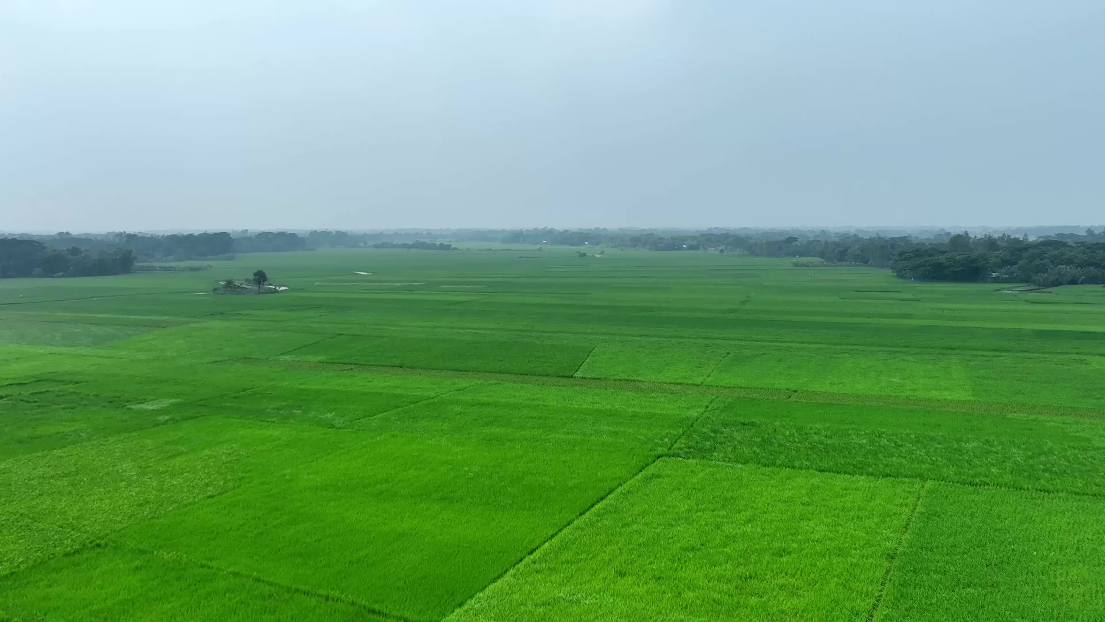 Lush Green Fields in Bangladesh Aerial View Free Stock Video Footage ...