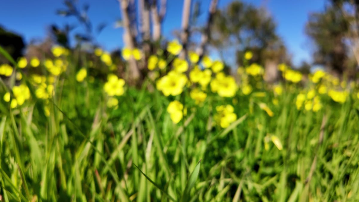 Daisy Taylor Videos, Download The BEST Free 4k Stock Video Footage