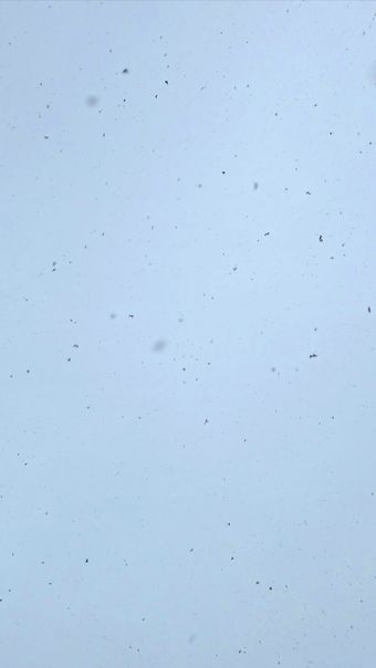 下雪高清视频视频素材视频素材