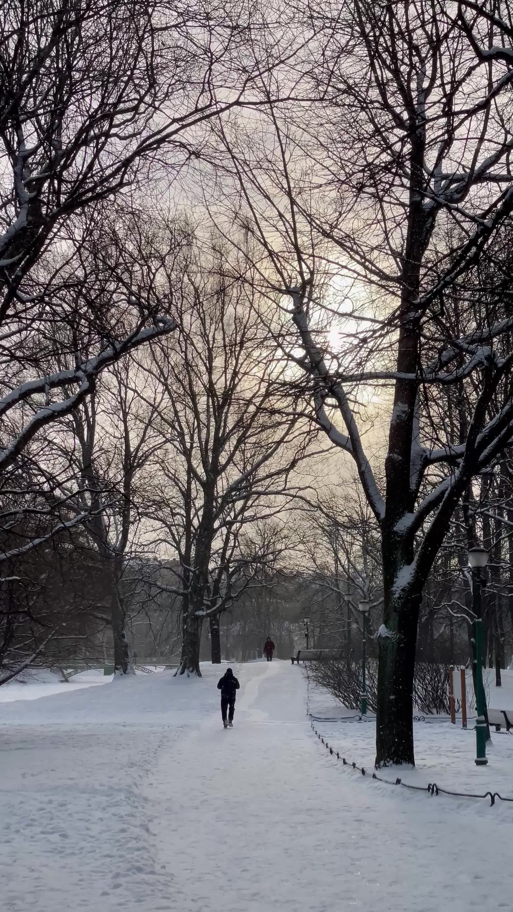 Snowing Nature Videos, Download The BEST Free 4k Stock Video Footage ...