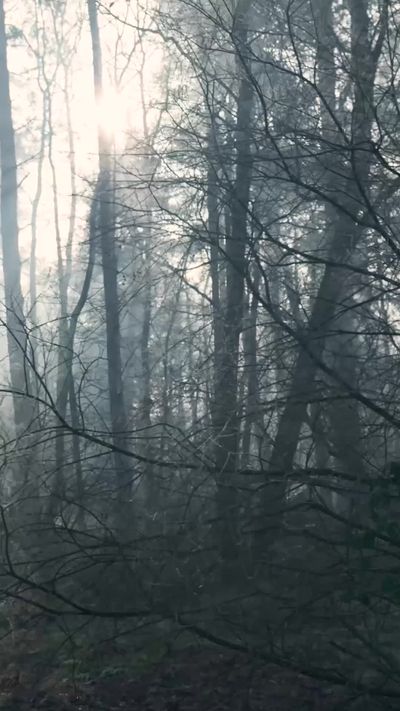 Matthias Groeneveld's fantasy landscape cinematic video