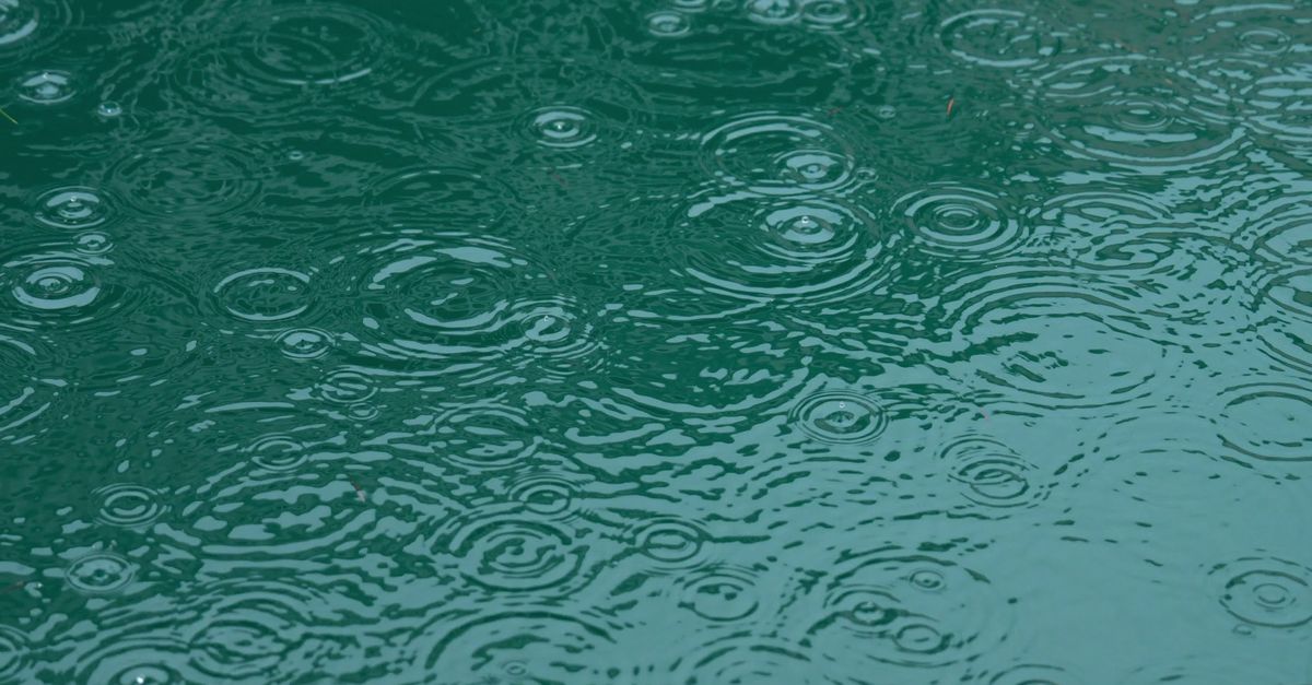 Still Raindrop Tranquil Raindrops Falling on Still Water Surface Free Stock Video ...