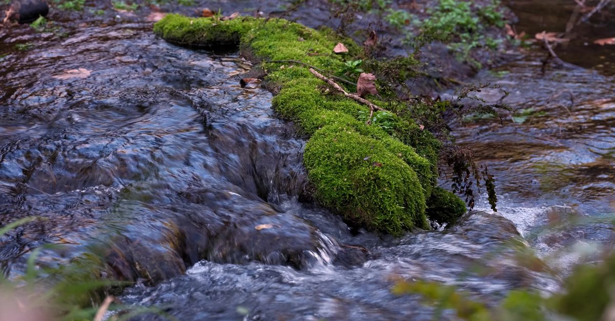 Scenic Flowing Stream with Moss-Covered Rocks Free Stock Video Footage ...