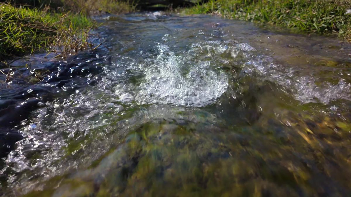 beautiful river in the nature Free Stock Video Footage, Royalty-Free 4K ...