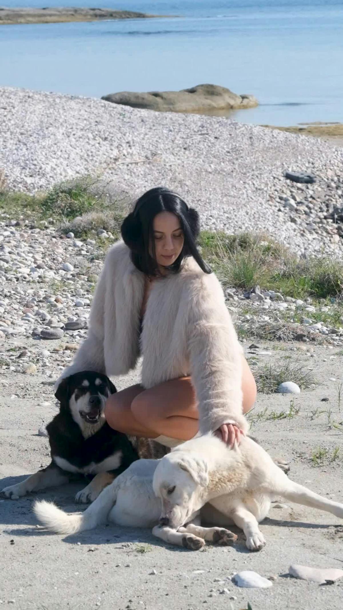 Dog+Knotting+Girl Videos, Download The BEST Free 4k Stock Video Footage