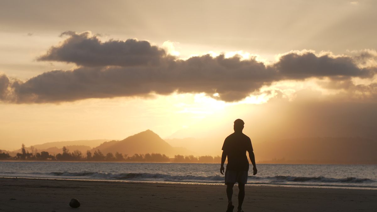 Silhouette of Person Watching Beach Sunset Free Stock Video Footage ...