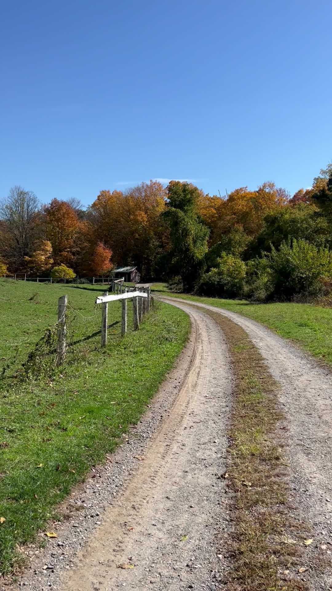 Estrada Rural Cênica Com Folhagem De Outono · Vídeo profissional gratuito
