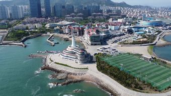韩国高清视频免费下载免费下载高清视频视频素材