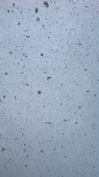 下雪高清视频视频素材