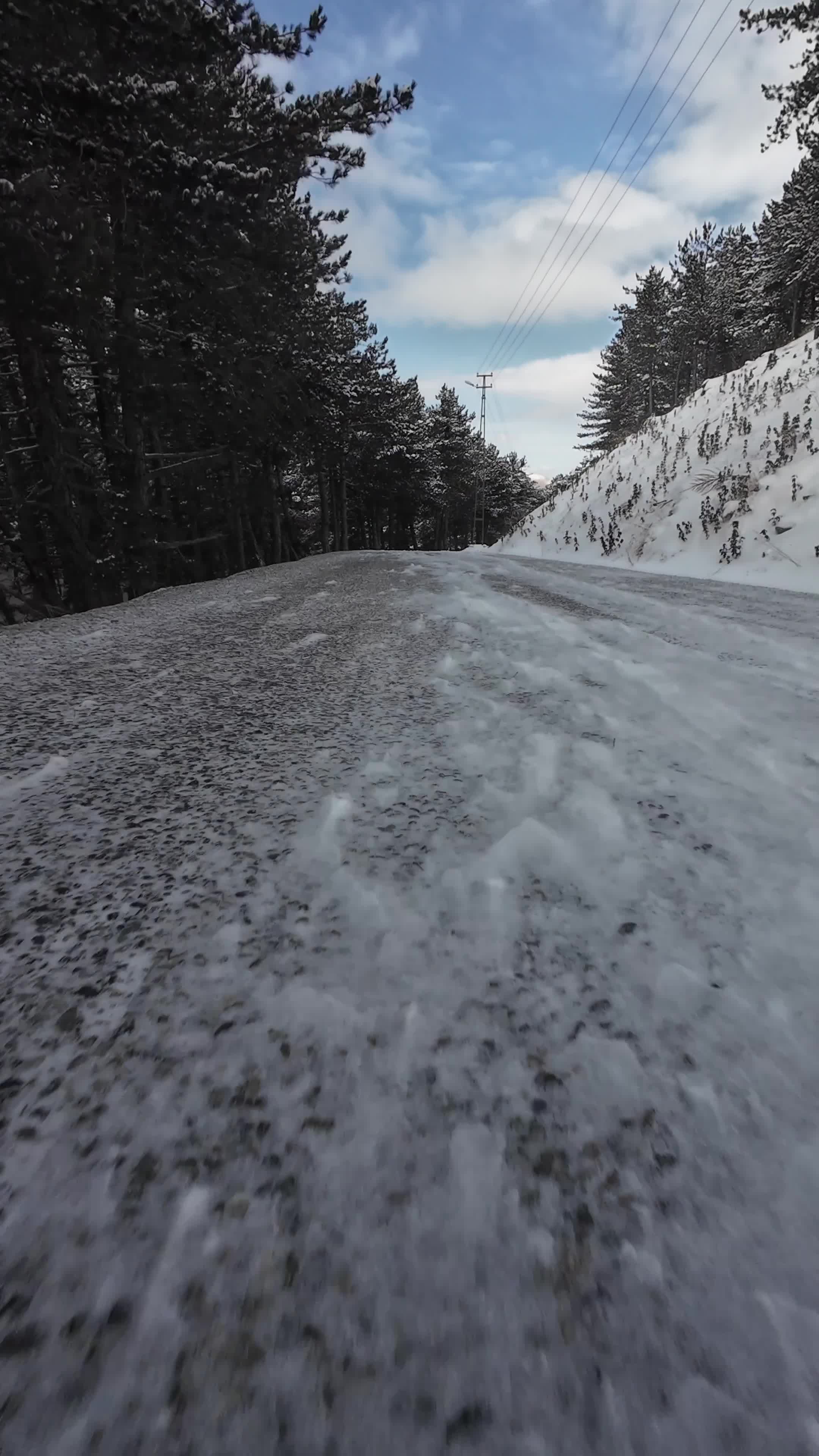Scenic Winter Drive Through Snowy Forest Free Stock Video Footage ...