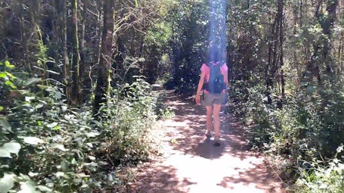 Parte Trasera De Una Mujer Caminando En Un Sendero Del Bosque