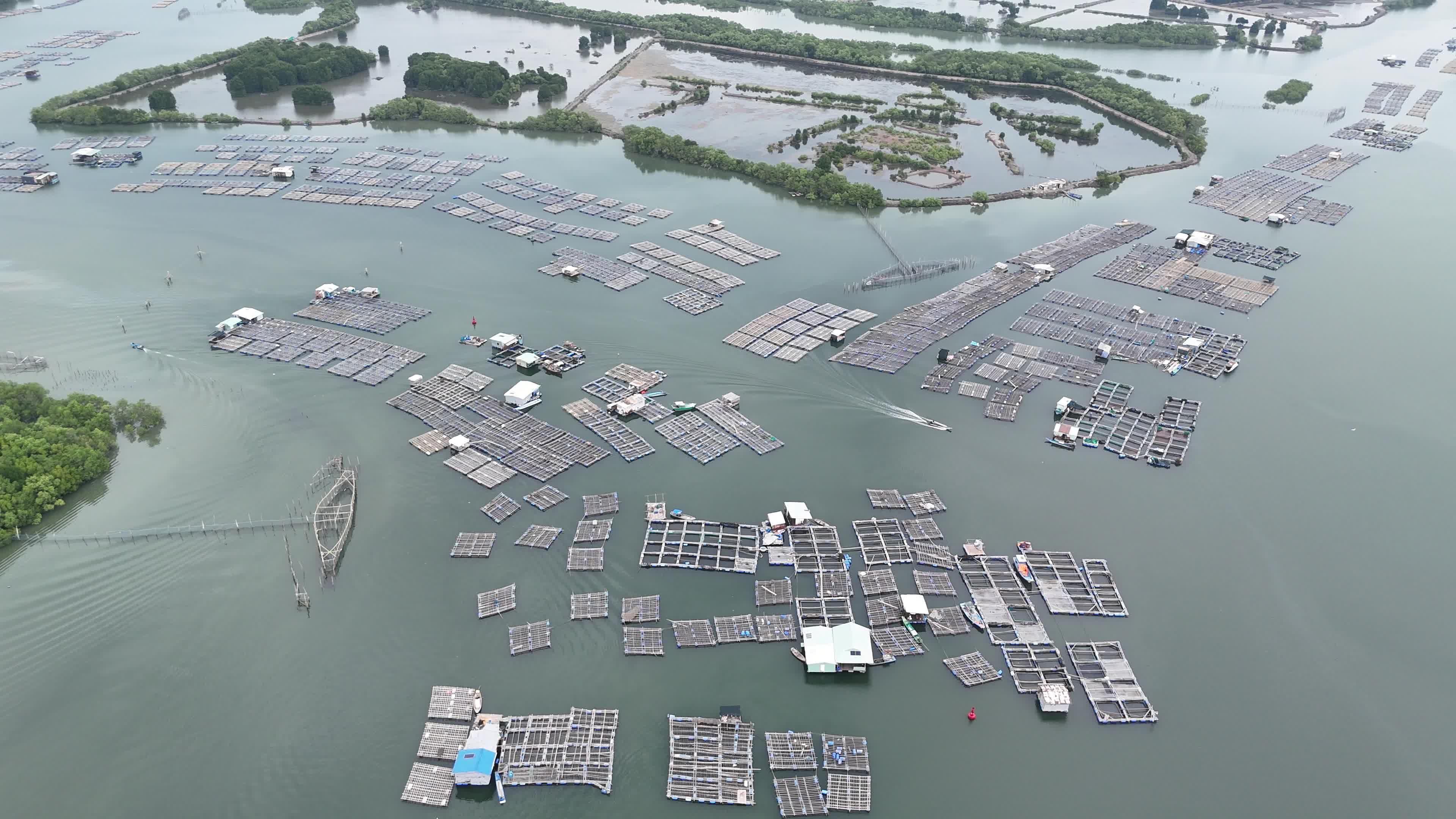Aerial View of a Fish Farm in Tranquil Waters Free Stock Video Footage ...