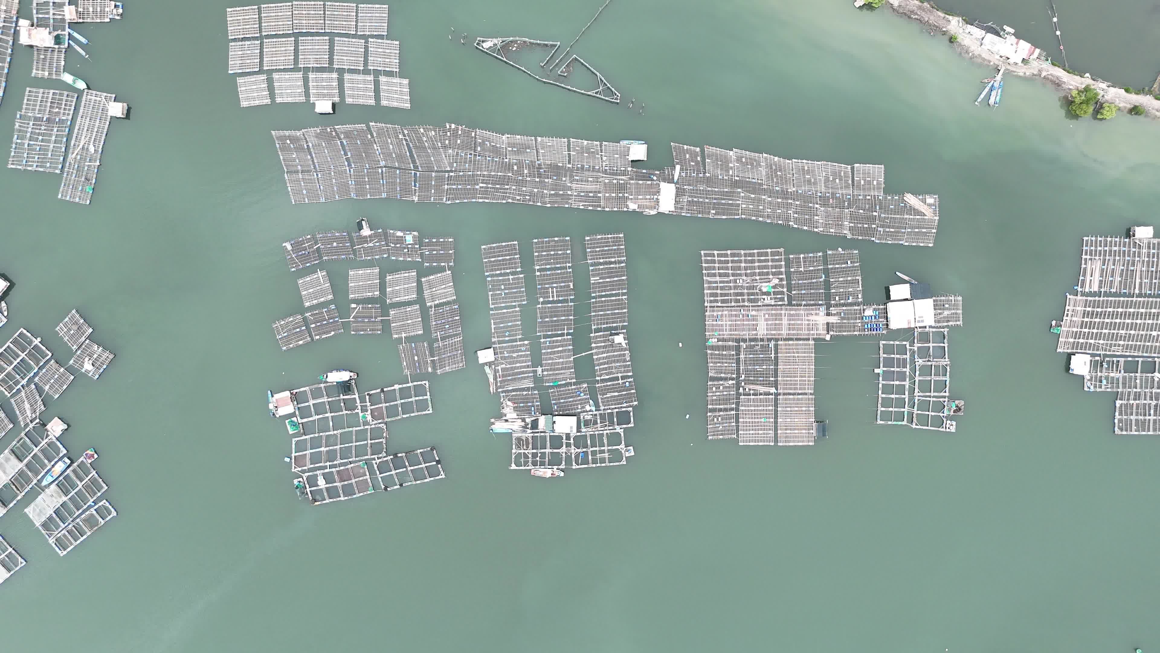 Aerial View of Floating Fish Farms in Tranquil Waters Free Stock Video ...