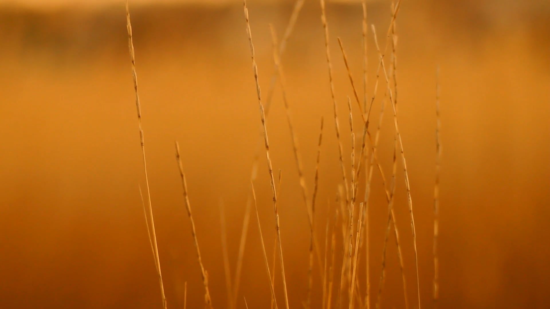 CloseUp Video Of Clock Ticking Free Stock Video Footage, RoyaltyFree