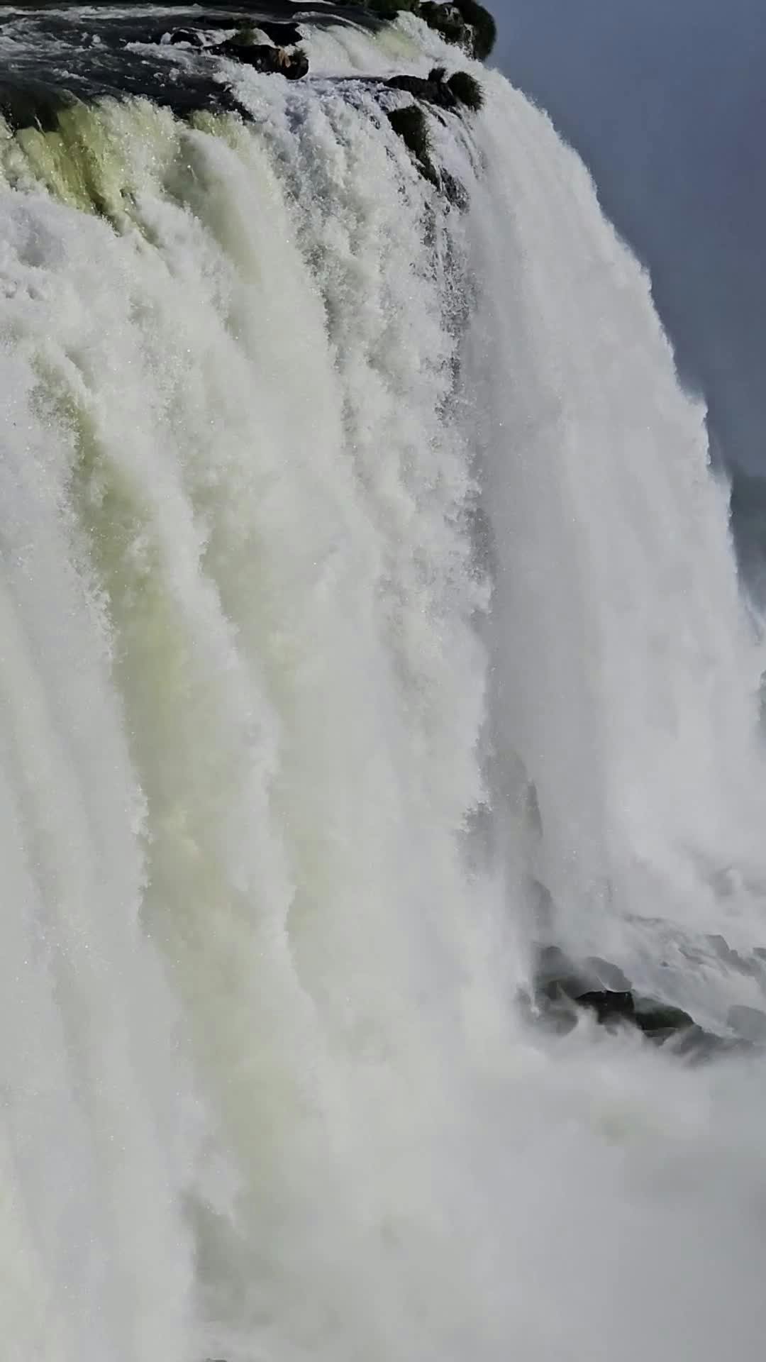 Video by Steve  Noleto