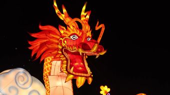 春节免费下载视频素材