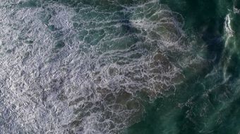 海免费下载视频素材