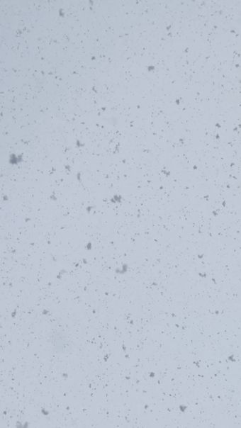 下雪高清视频视频素材视频素材