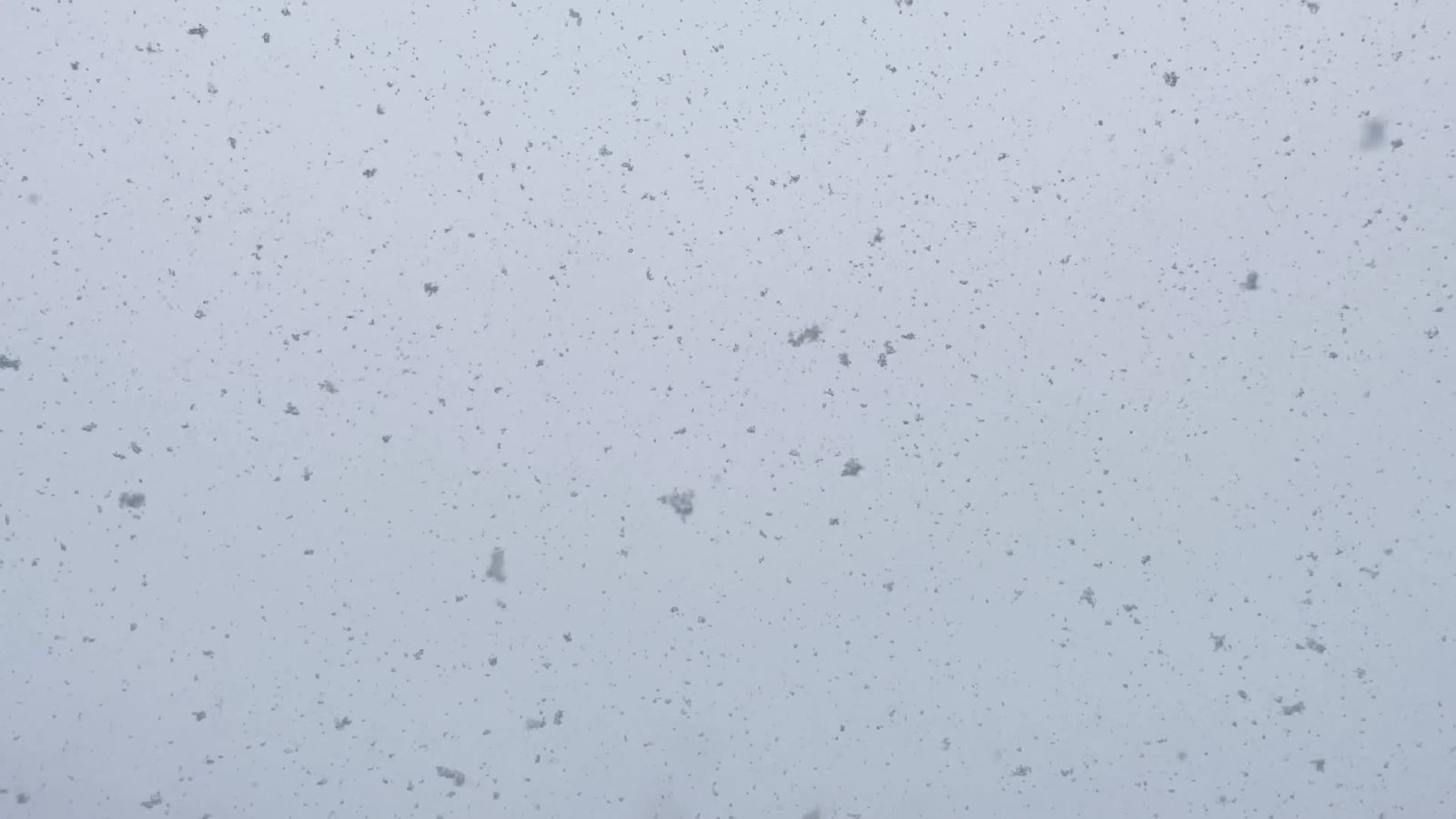 Snowfall Video Download Snow falling Free Stock Video Footage, Royalty-Free 4K & HD Video Clip