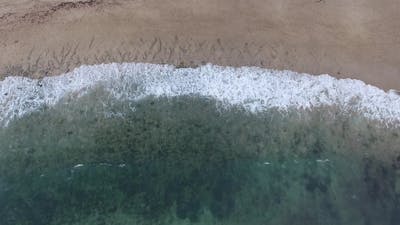 Coccozella+Beach+Video Videos, Download The BEST Free 4k Stock Video