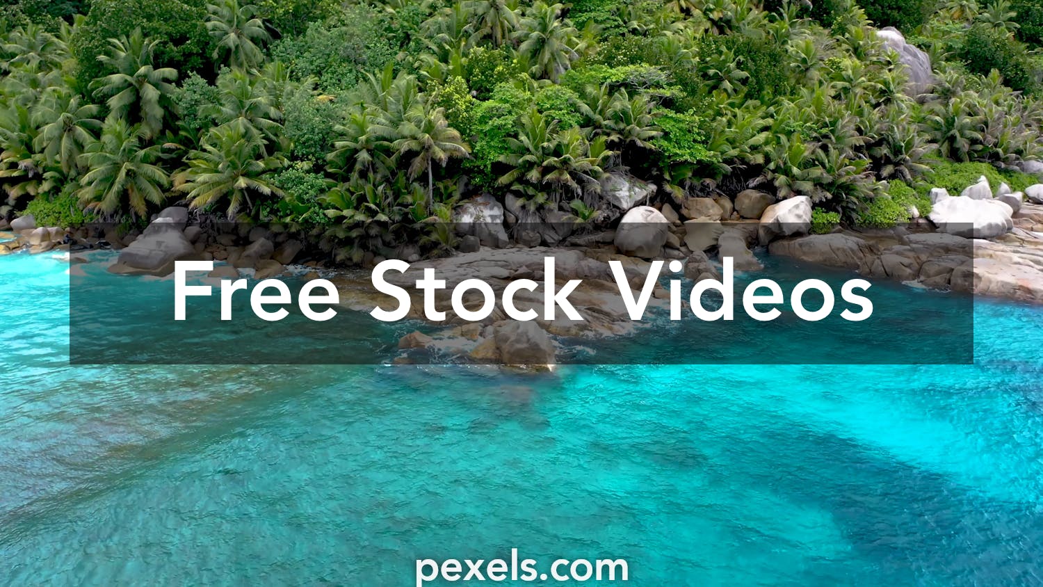▻ FREE Video Background Loop Footage, 2K 1440p60