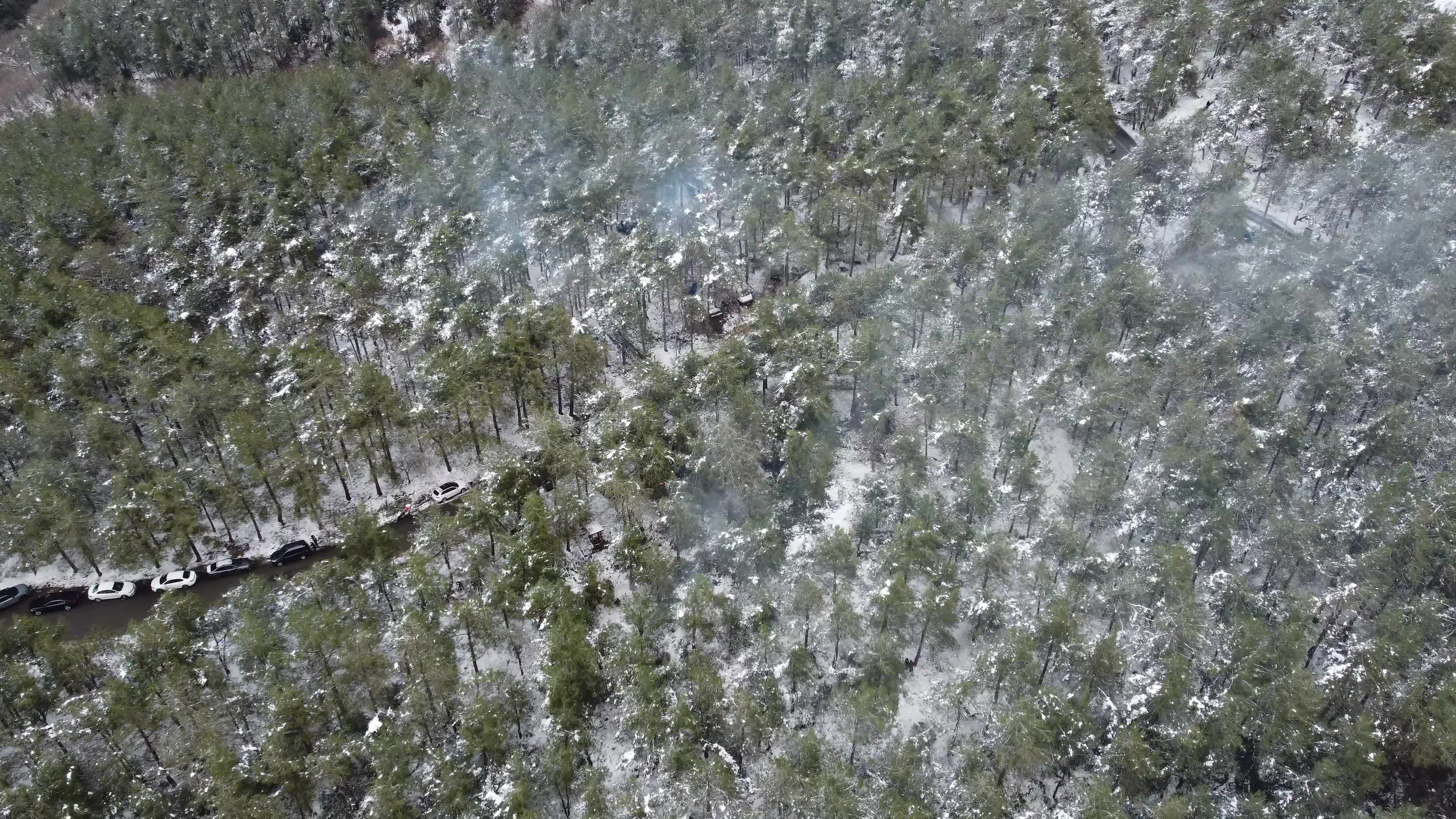 Stunning Aerial View of Snowy Pine Forest Free Stock Video Footage ...