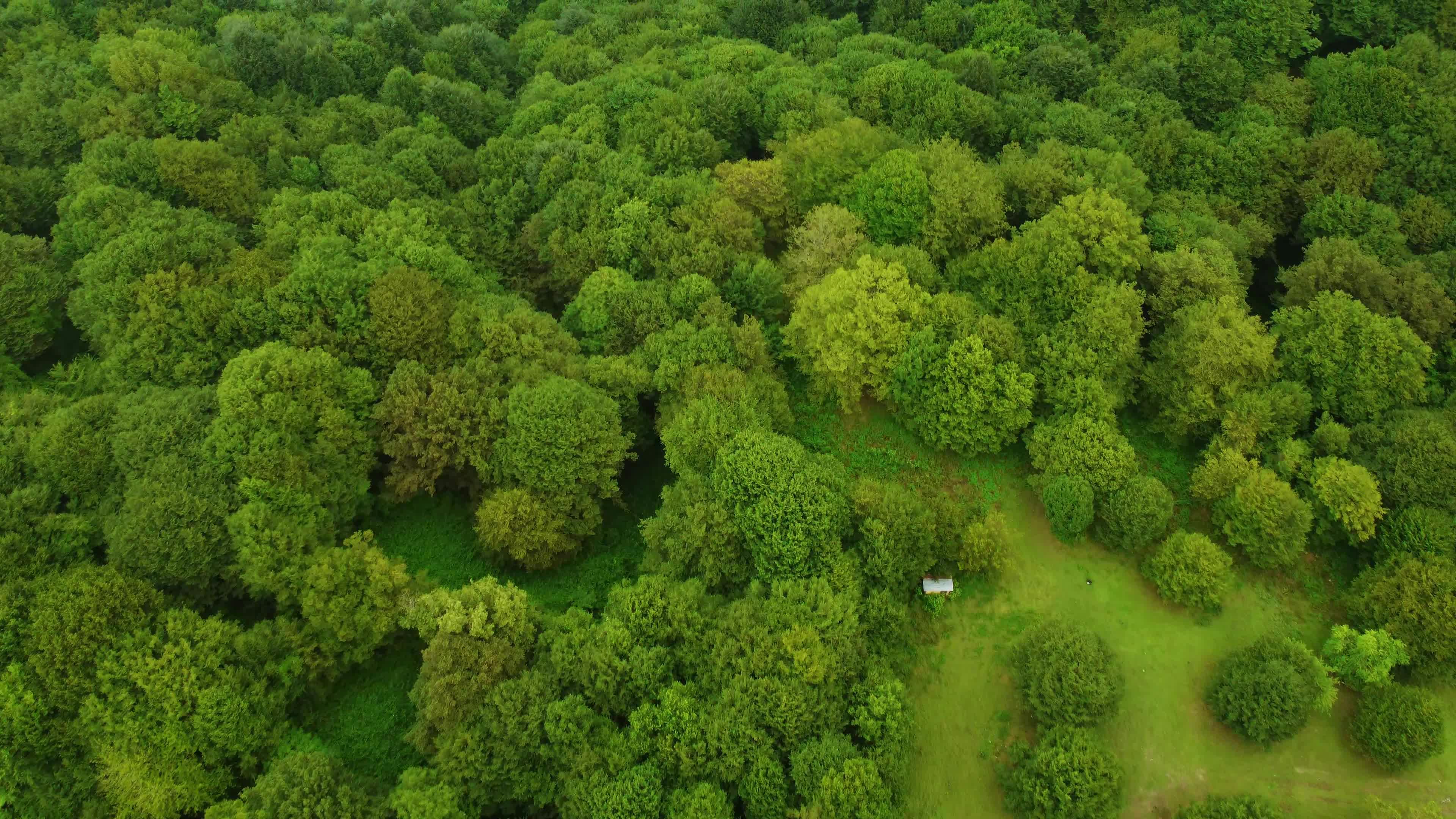 Video by Kenan Turguç