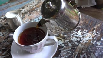 奶茶视频素材