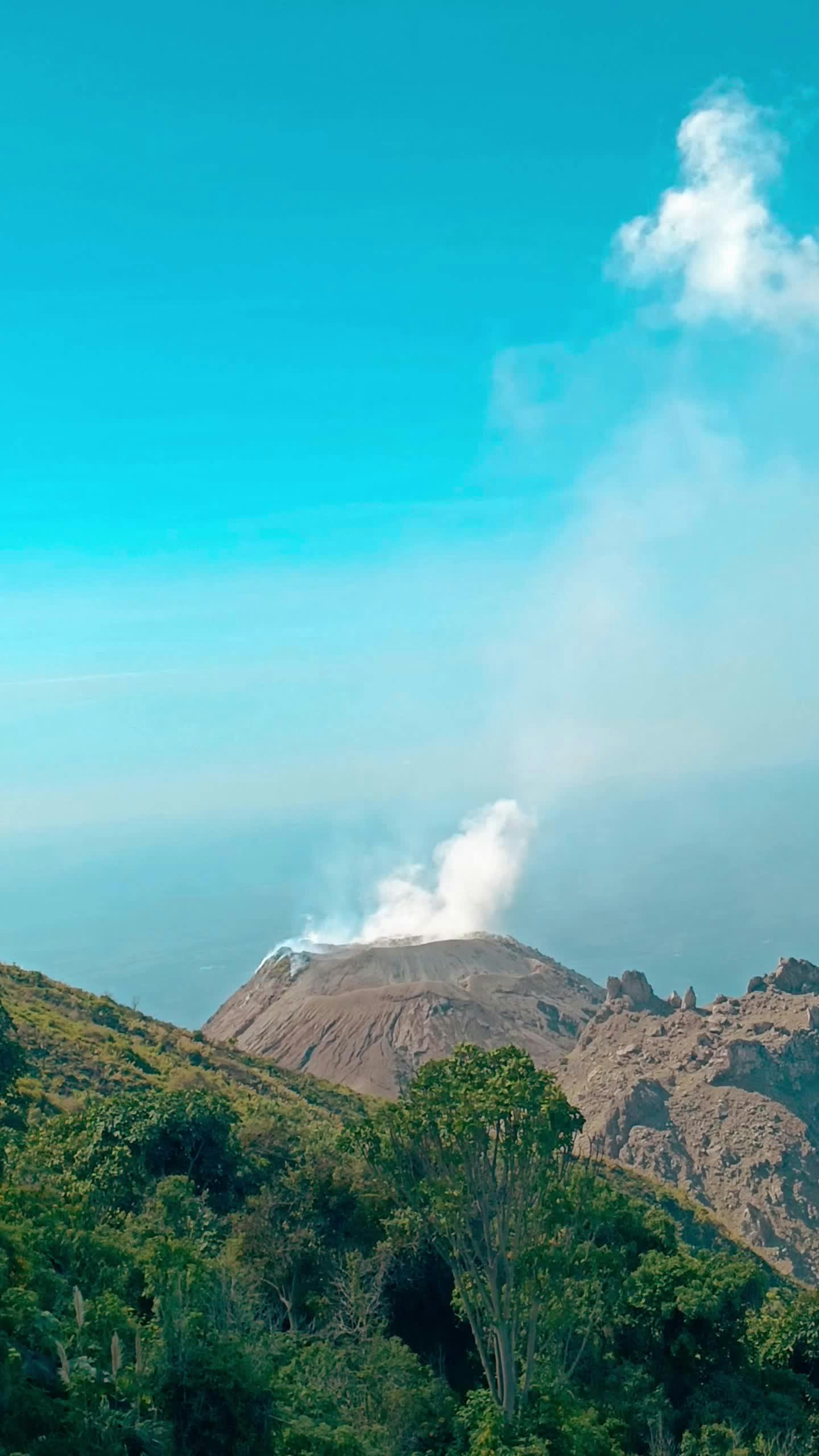 Video by Luis Andrade