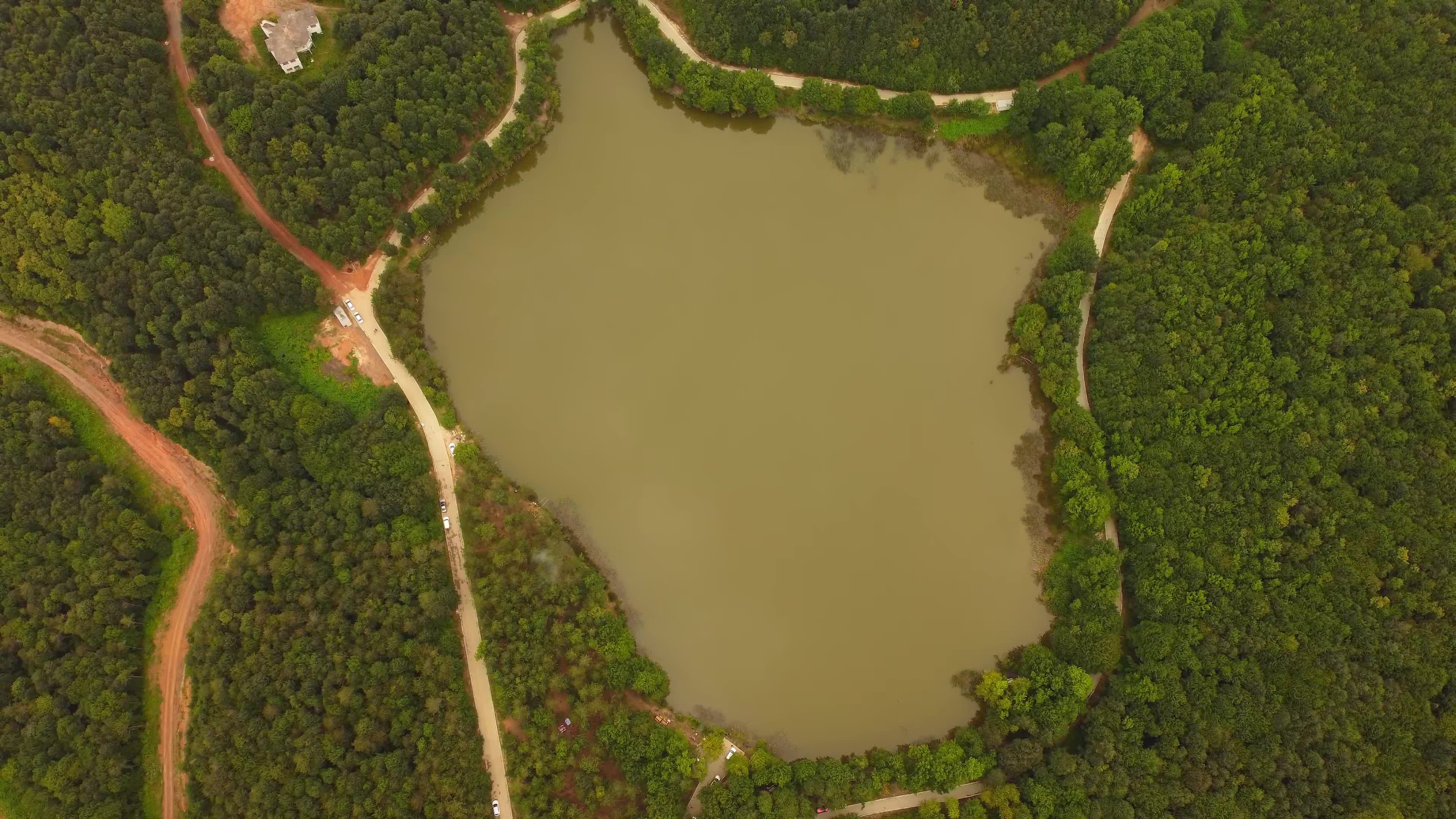 Aerial View of Serene Forest Lake Surroundings Free Stock Video Footage ...
