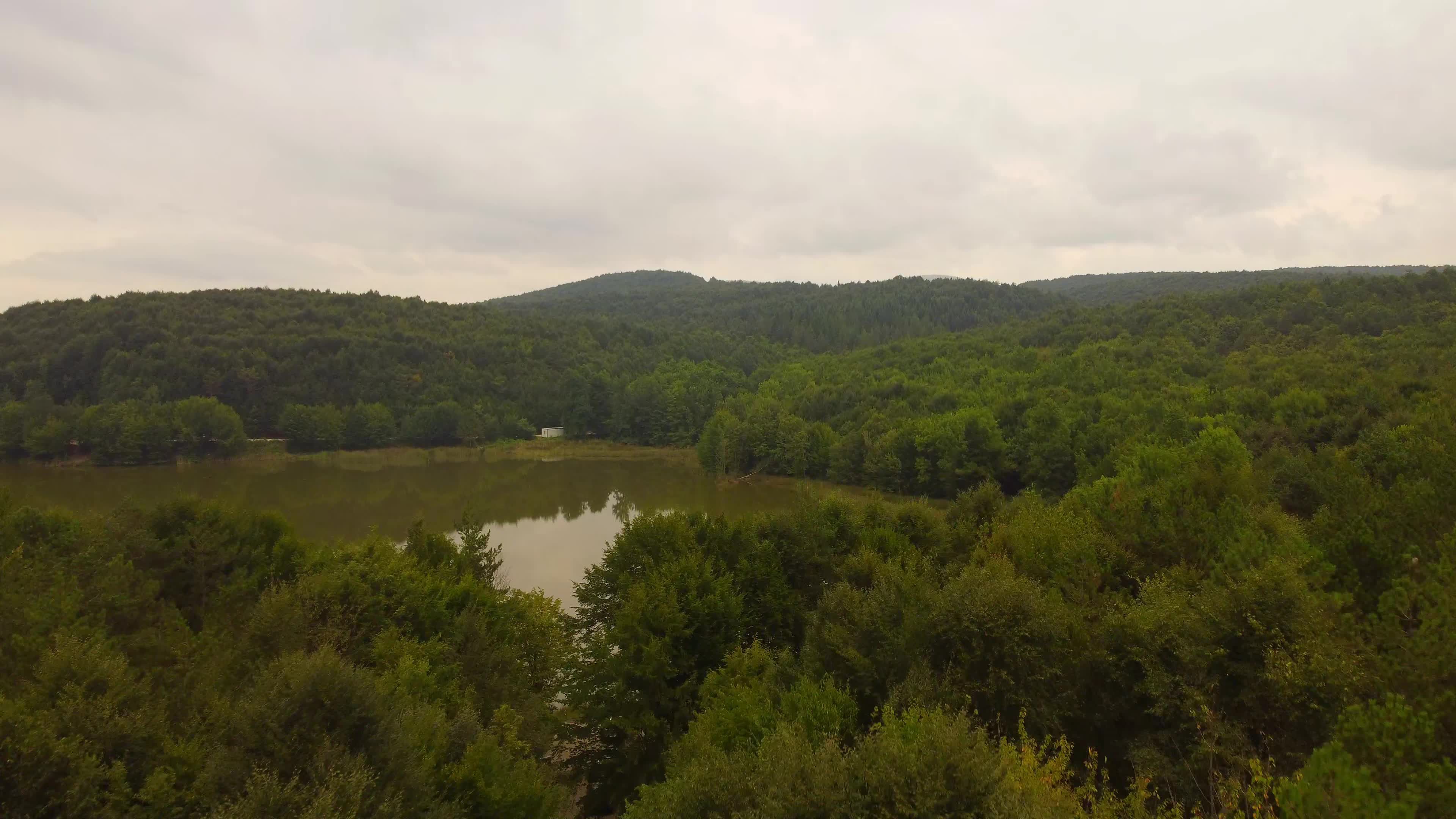 Serene Aerial View of Lush Green Forest and Lake Free Stock Video ...