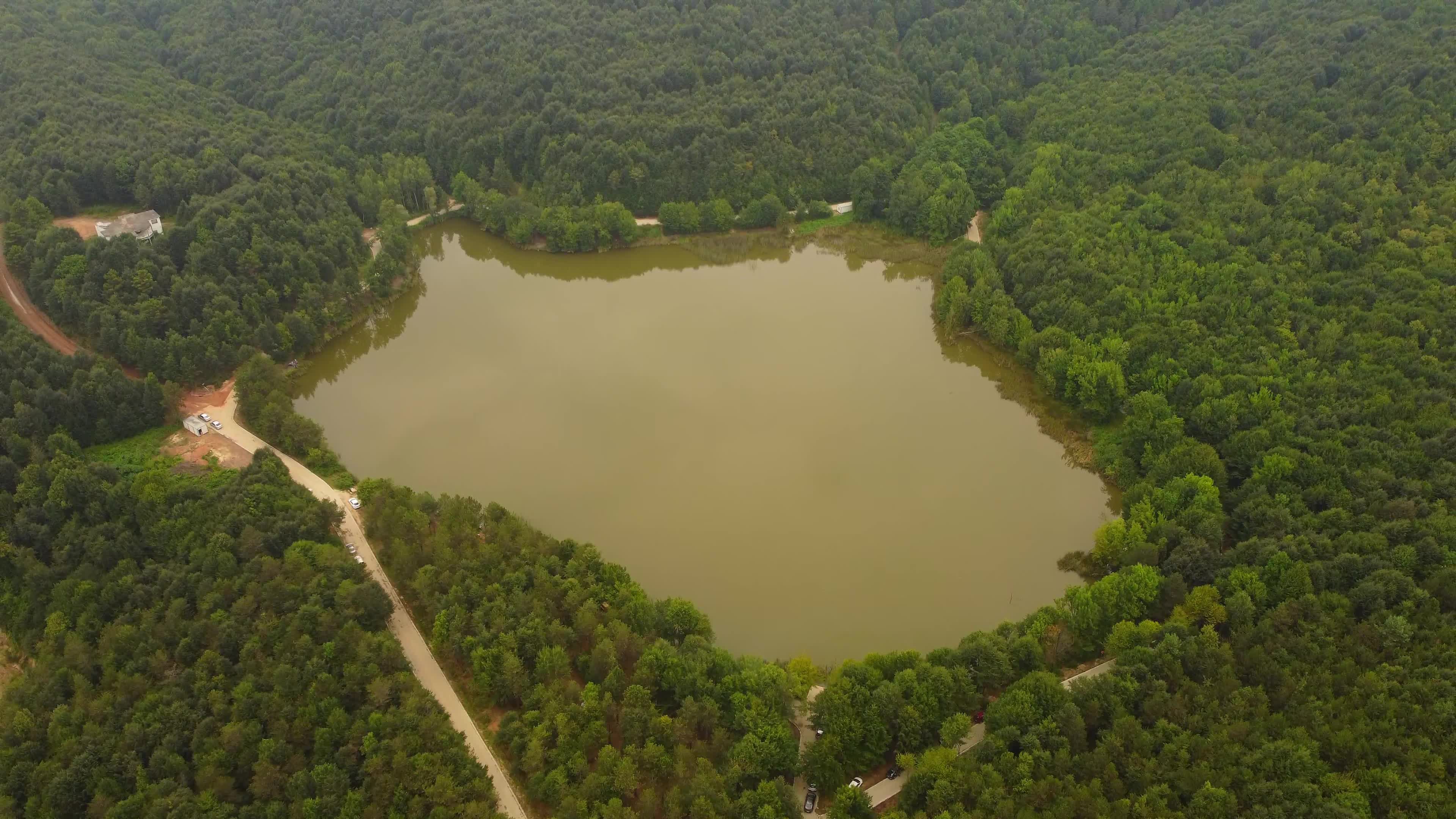 Aerial View of Scenic Forest Lake Landscape Free Stock Video Footage ...