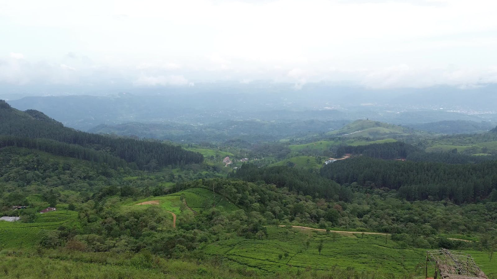 Free Pone Video Videos Download The BEST Free 4k Stock Video Footage