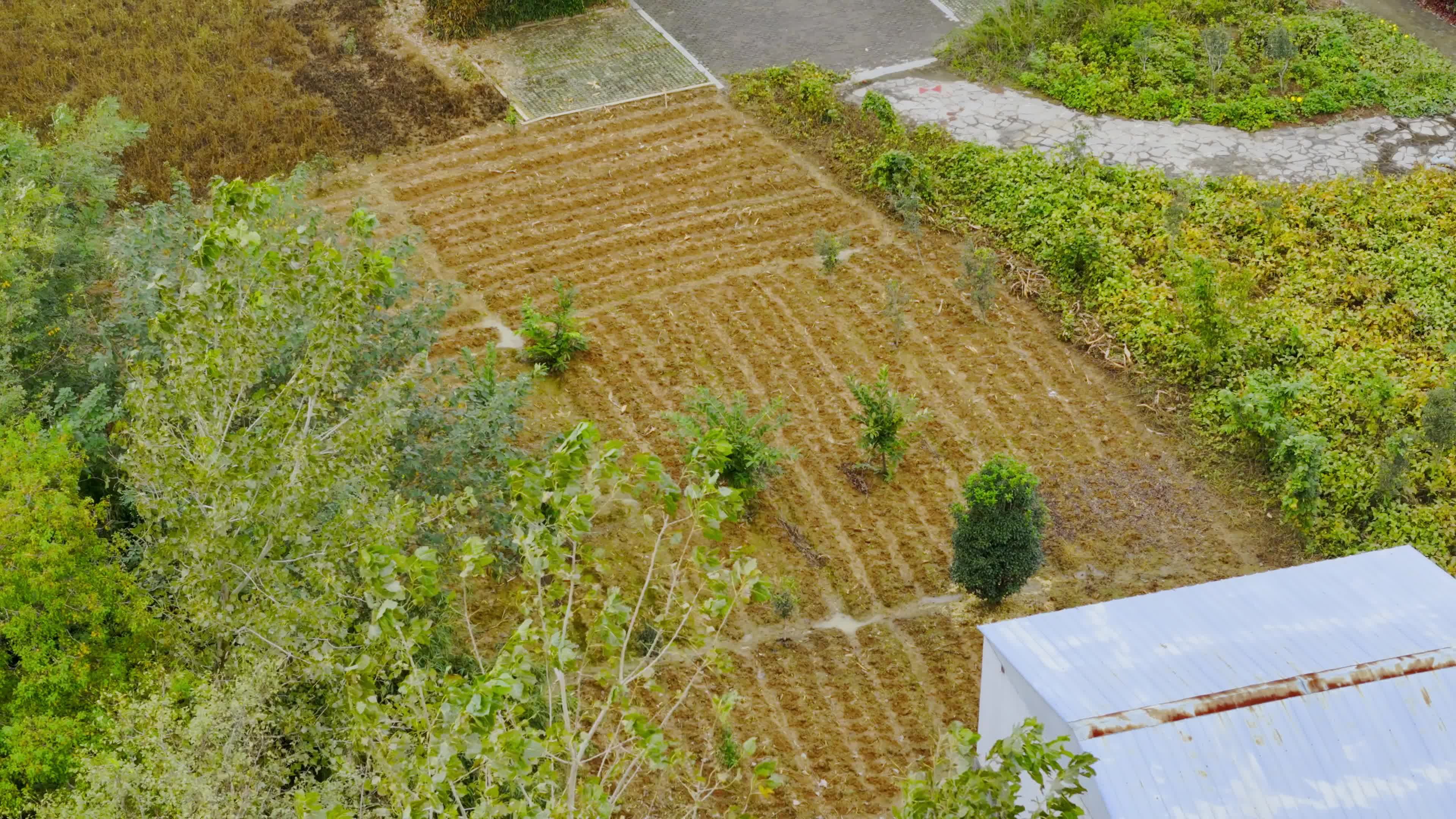 Imágenes De Campos Agrícolas Rurales Tomadas Con Drones · Vídeo de ...