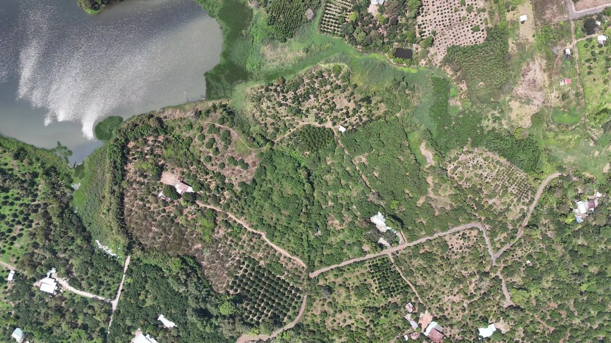 Aerial View of Lush Green Landscape with Lake Free Stock Video Footage ...
